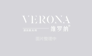 維羅納藝術漆，讓墻面細節閃閃動人