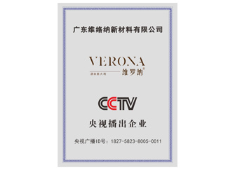 央視播出企業